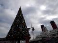 20101124063813000012553753.jpg