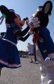 20110331212717000136398938.jpg