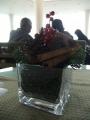 20101213170322000131208404.jpg