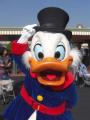 20081123165434000012891384.jpg